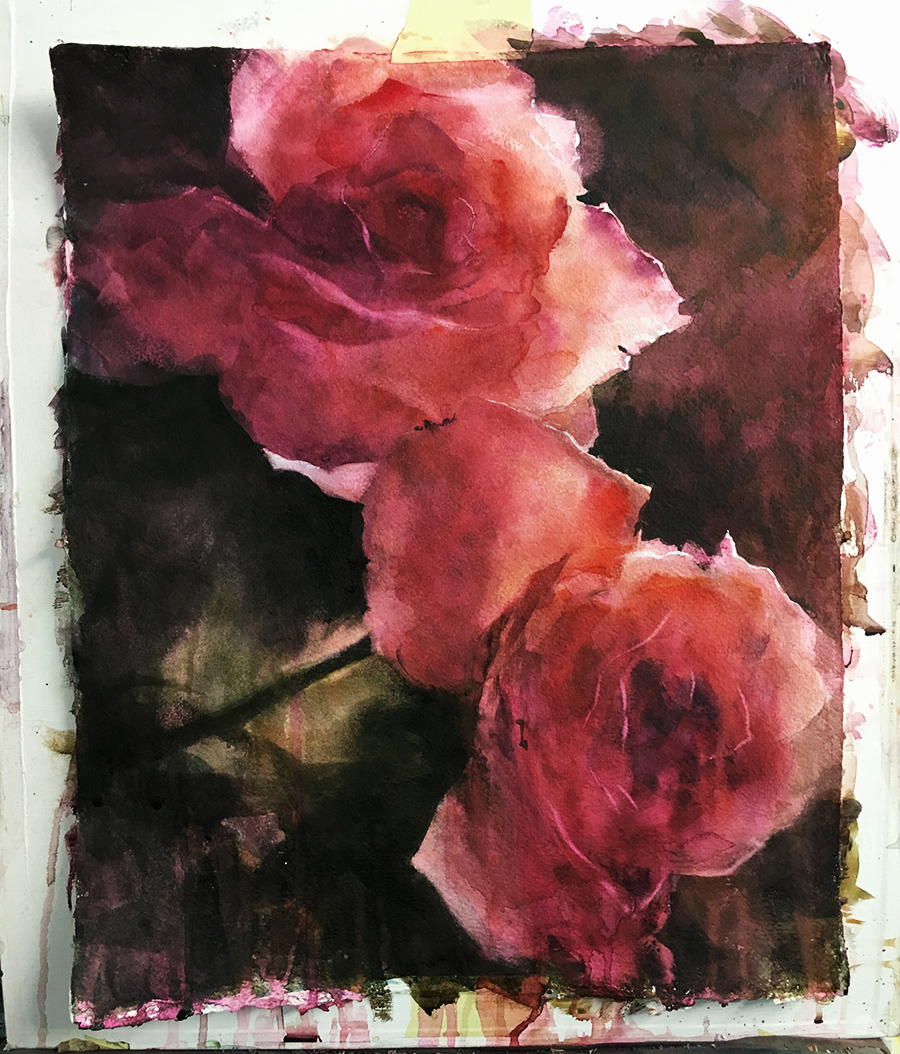 rose_glow_work-in-progress_hornblower-watercolour